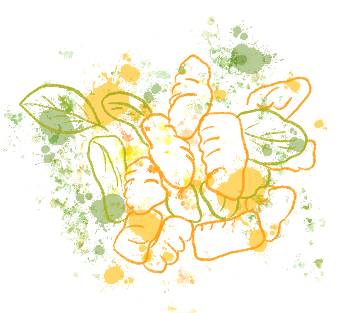 Gnocchi mit Salbeibutter Gnocchi mit Salbeibutter