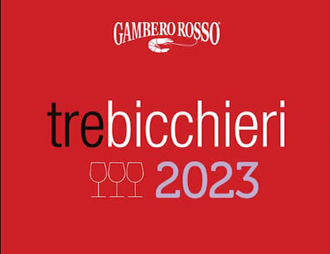 Trebichieri23Aufmacher Barbaresco Basarin DOCG 2019 - Negro