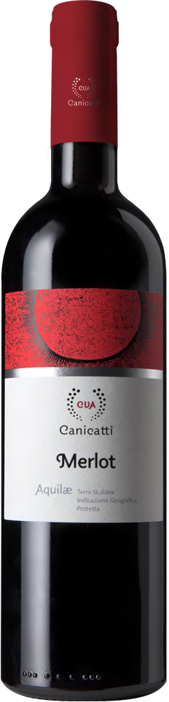 rotwein-merlot-aquilae-cvacanicatti Merlot Aquilae IGP 2018 - Canicatti