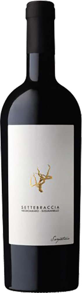 Negroamaro-Susumaniello Settebraccia IGP 2019 Sampietrana Negroamaro-Susumaniello Settebraccia IGP 2019 Sampietrana
