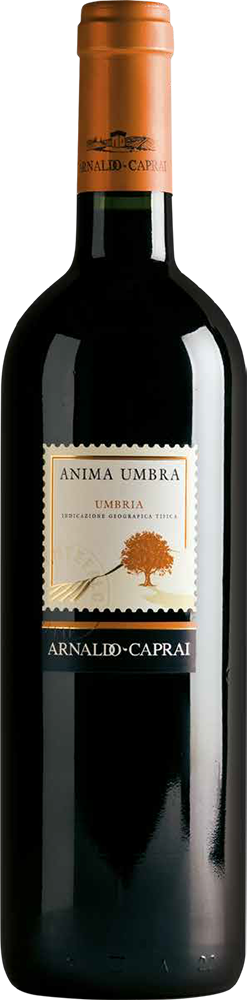 Anima Umbra Rosso IGT 2020 – Arnaldo Caprai Anima Umbra Rosso IGT 2020 – Arnaldo Caprai