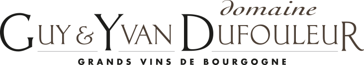 Domaine Guy Et Yvan Dufouleur