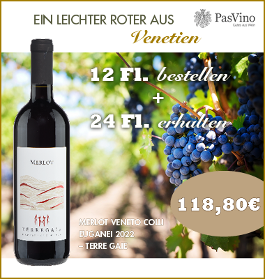 Merlot Veneto 2022 – XXL Angebot 12 + 12