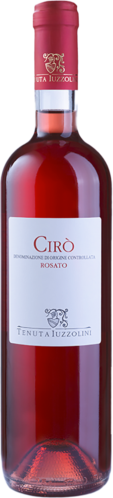Cirò Rosato DOC 2024 – Tenuta Iuzzolini