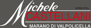 Michele Castellani
