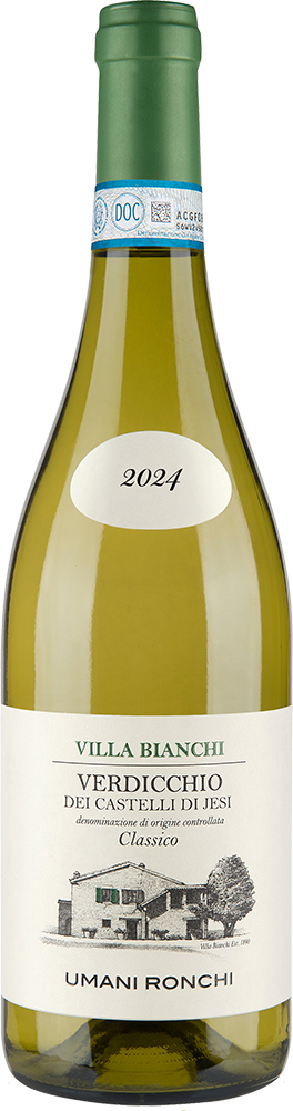 Verdicchio dei Castelli di Jesi Villa Bianchi DOC Classico 2024 – Umani Ronchi