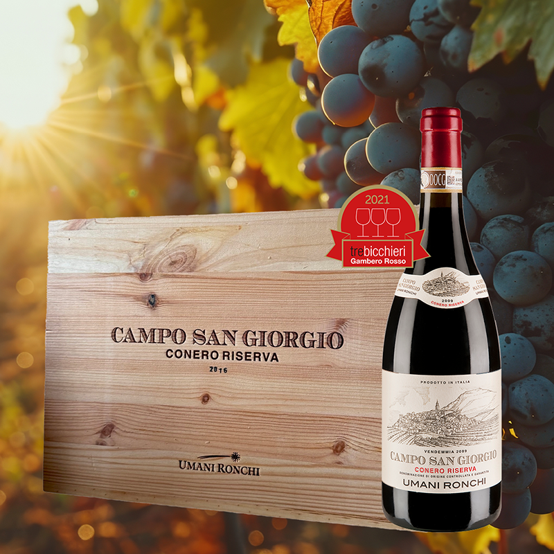 6 Flaschen Campo San Giorgio Rosso Conero Riserva DOCG 2016 - Umani Ronchi in Original Holzkiste