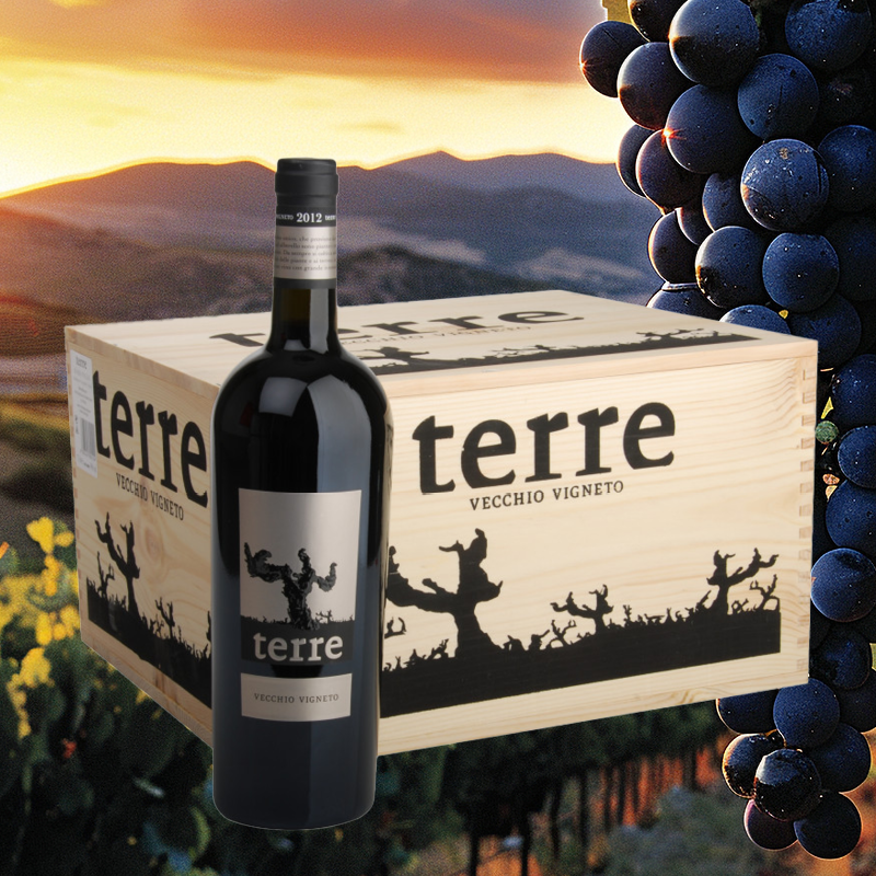 6 Flaschen Terre Vecchio Vigneto Rosso Puglia IGT 2016 in Original Holzkiste – Terre di Campo Sasso 6 Flaschen Terre Vecchio Vigneto Rosso Puglia IGT 2016 in Original Holzkiste – Terre di Campo Sasso