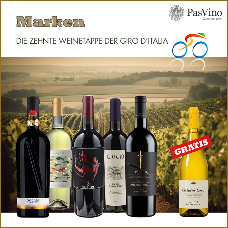 Marken – Weinetappe Weinpaket 5+1 Marken – Weinetappe Weinpaket 5+1