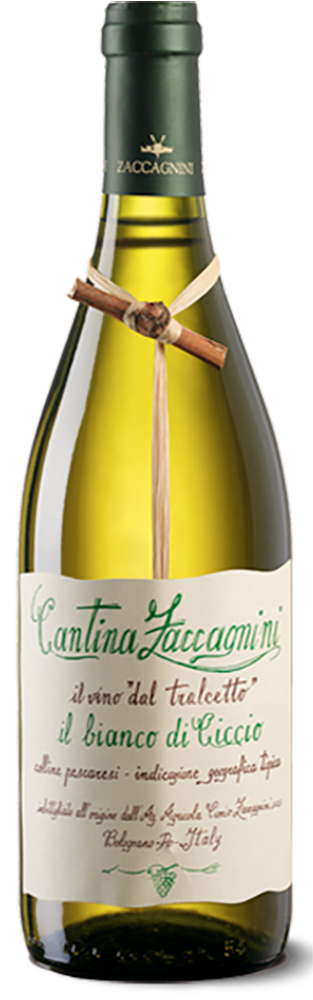 Il Bianco di Ciccio Tralcetto IGT 2024 Zaccagnini Il Bianco di Ciccio Tralcetto IGT 2024 Zaccagnini